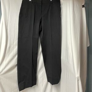 Ann Taylor Ankle Pants